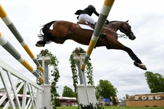 New Interim Examiner Takes Charge in Effort to Revitalize Horse