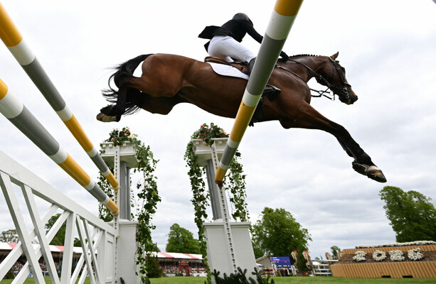 New Interim Examiner Takes Charge in Effort to Revitalize Horse